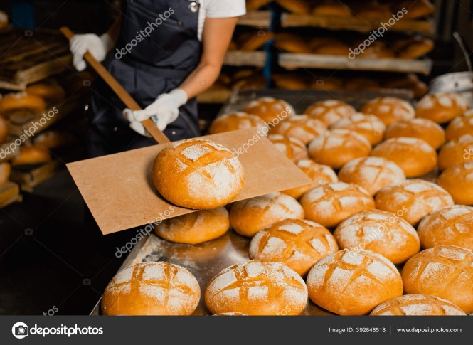 Baker holds fresh bread on a wooden shovel in a bakery closeup. Industrial bread production